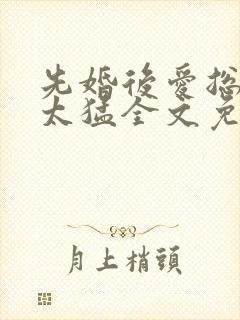 先婚后爱总裁别太猛全文免费阅读
