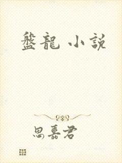 盘龙 小说封面