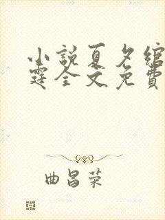 小说夏夕绾陆寒霆全文免费阅读封面