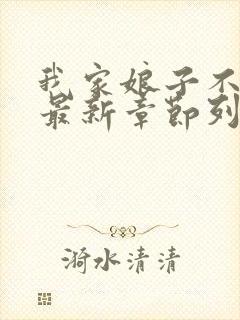 我家娘子不对劲最新章节列表免费