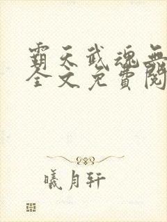 霸天武魂无弹窗全文免费阅读封面