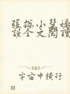 张总小慧娇妻小说全文阅读封面