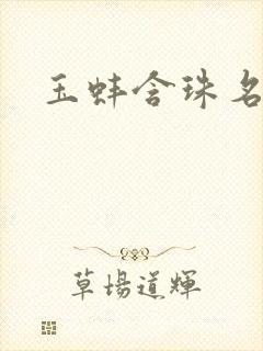 玉蚌含珠名器H