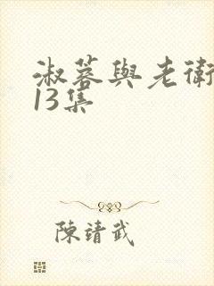 淑蓉与老卫1—13集