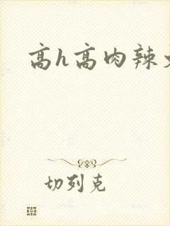 高h高肉辣文