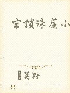 宫锁珠帘小说