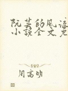 阮芸的风流人生小说全文免费阅读封面