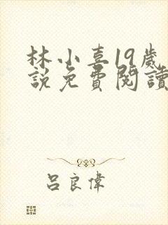 林小喜19岁小说免费阅读封面