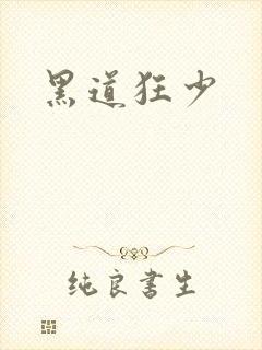 黑道狂少封面