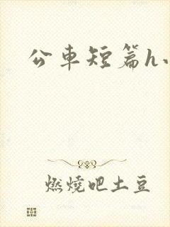 公车短篇h小说封面
