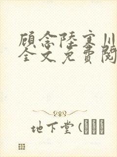 顾念陆寒川小说全文免费阅读