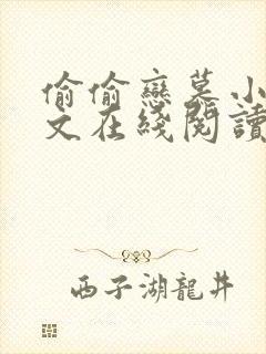 偷偷恋慕小说全文在线阅读