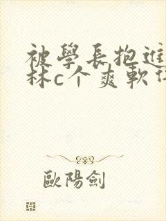 被学长抱进小树林c个爽软件