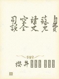 司空靖苏月汐小说全文免费阅读封面