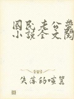 国民老公带回家小说全文阅读免费