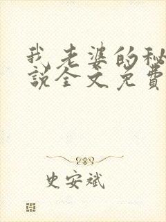 我老婆的秘密小说全文免费阅读
