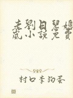 老刘日儿媳妇张岚小说免费阅读
