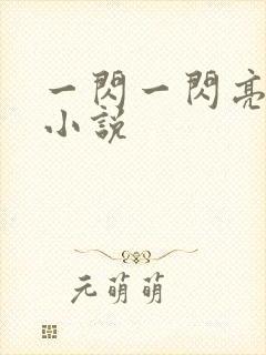 一闪一闪亮星星小说
