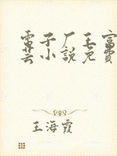 电子厂王富贵陈芸小说免费阅读
