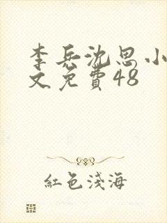 李兵沈思小说全文免费48