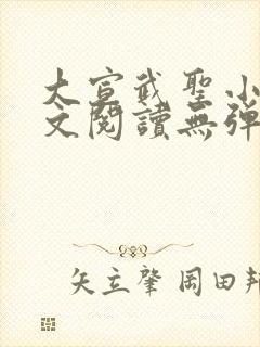 大宣武圣小说全文阅读无弹窗
