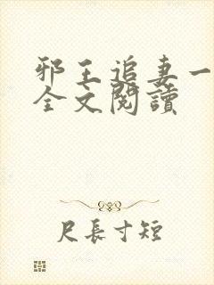邪王追妻一百式全文阅读