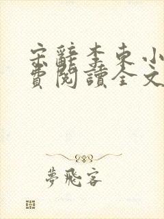 宋辞李东小说免费阅读全文封面