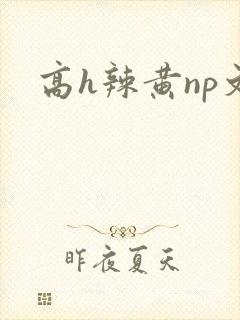 高h辣黄np文