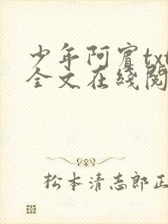 少年阿宾txt全文在线阅读