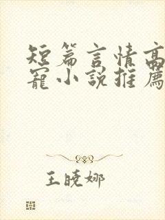 短篇言情高能甜宠小说推荐