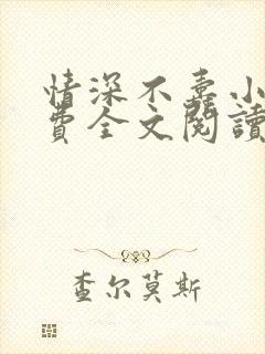情深不寿小说免费全文阅读