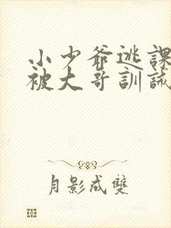 小少爷逃课打架被大哥训诫文