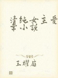 清纯女主爱穿日常小说