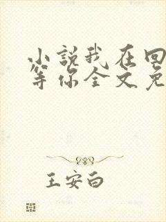 小说我在回忆里等你全文免费阅读封面