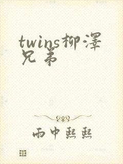 twins柳泽兄弟