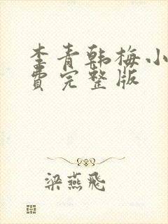 李青韩梅小说免费完整版封面