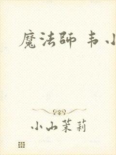 魔法师 韦小宝封面
