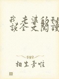 我老婆的秘密小说全文阅读封面