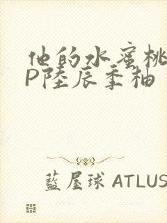 他的水蜜桃POP陆辰季柚
