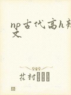 np古代高h辣文