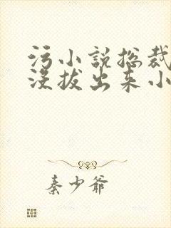 污小说总裁整夜没拔出来小说在线阅读