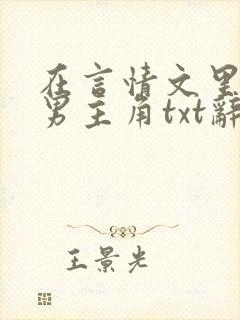在言情文里撩直男主角txt辞玖封面