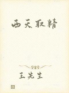 西天取精封面