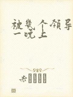 被几个领导玩弄一晚上