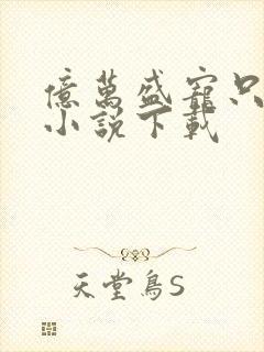 亿万盛宠只为你小说下载封面
