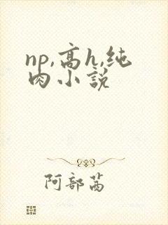 np,高h,纯肉小说