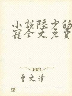 小说陆少的心尖宠全文免费阅读封面