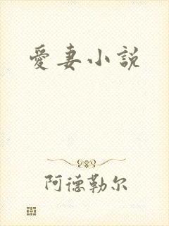 爱妻小说