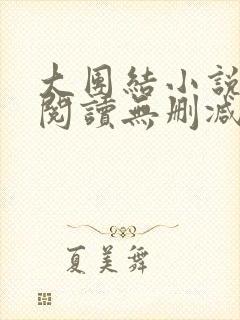 大团结小说在线阅读无删减