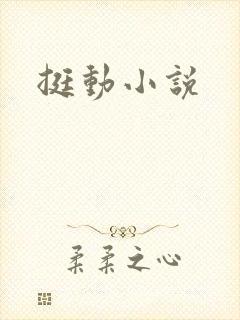 挺动小说